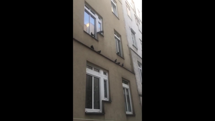 video_thumbnail