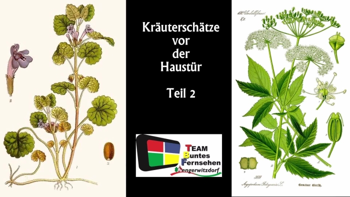 video_thumbnail