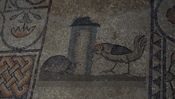 video_thumbnail