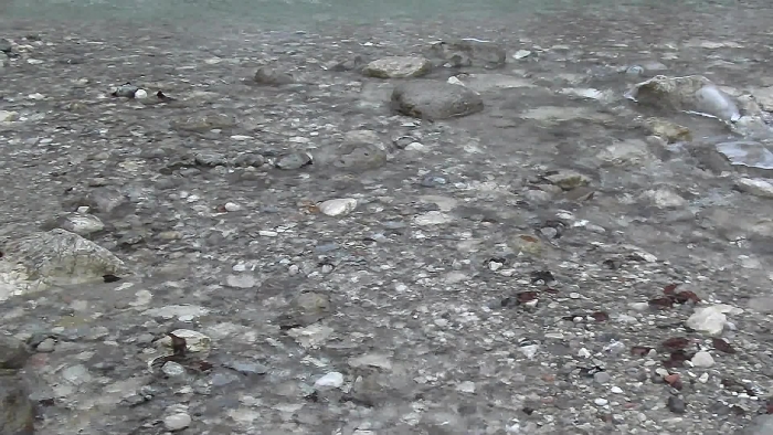 video_thumbnail