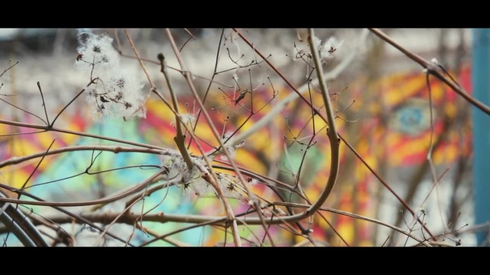 video_thumbnail