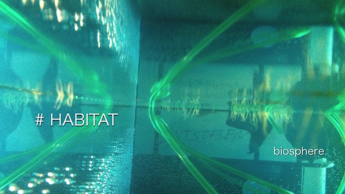 video_thumbnail