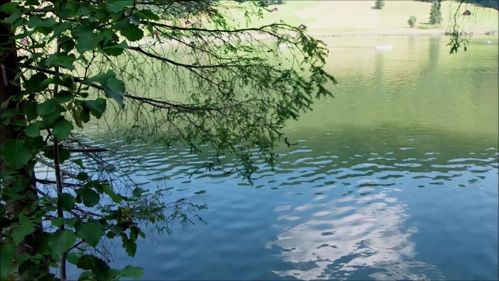 video_thumbnail