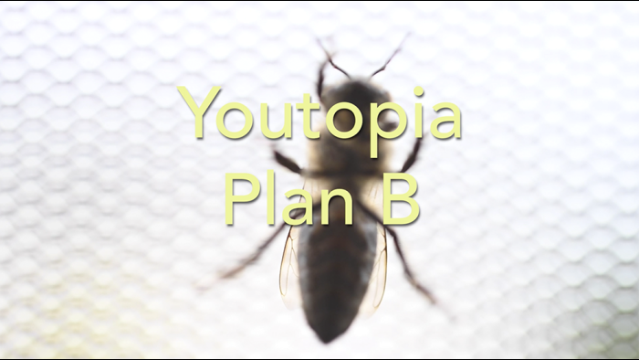 video_thumbnail