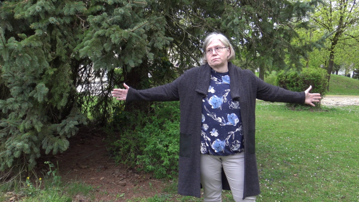 video_thumbnail