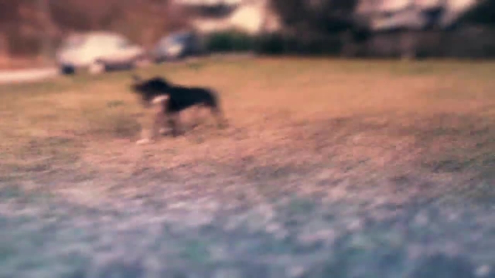 video_thumbnail