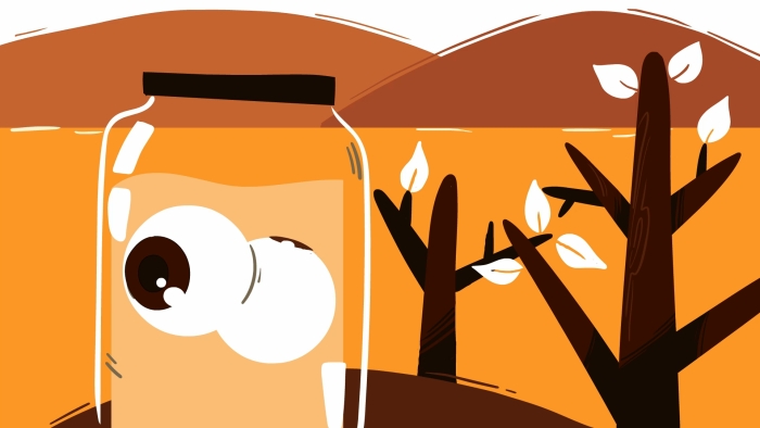 video_thumbnail