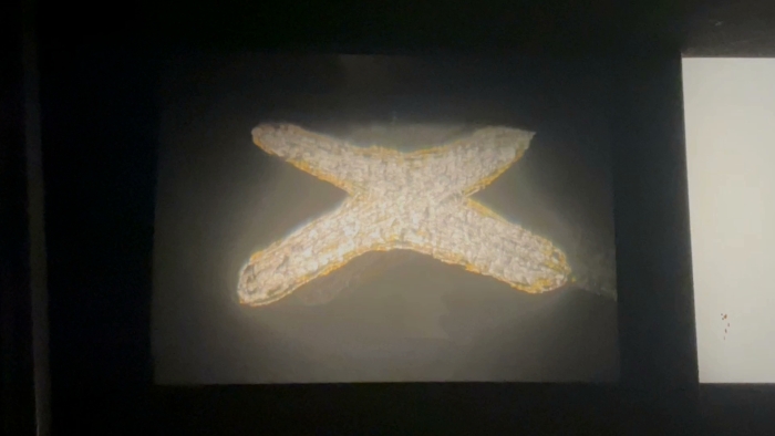 video_thumbnail