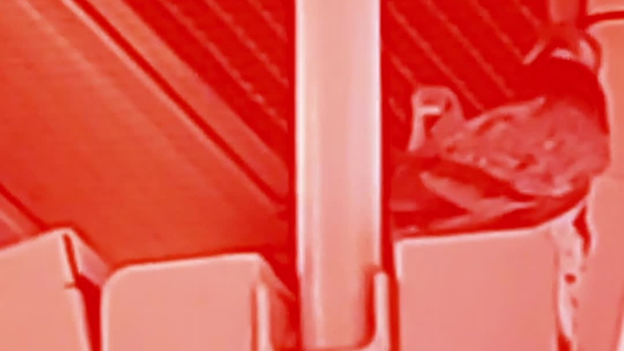 video_thumbnail