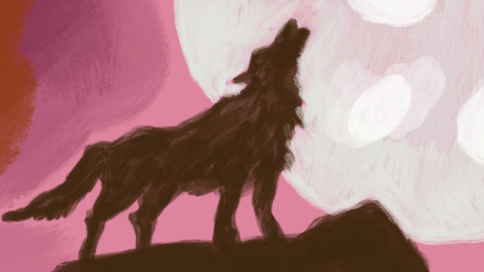 video_thumbnail