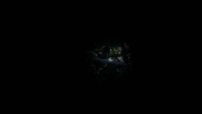 video_thumbnail