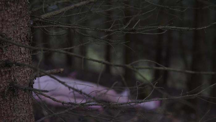 video_thumbnail