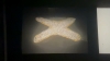 video_thumbnail