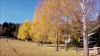 video_thumbnail