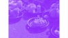 video_thumbnail